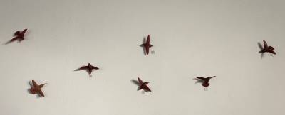 Humming Birds